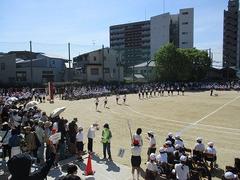 IMG_3018.jpg