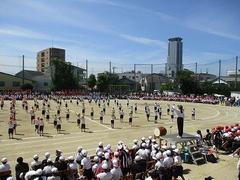 IMG_3049.jpg