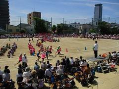 IMG_3094.jpg