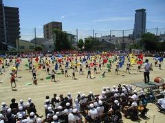 IMG_8100.jpg