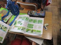 IMG_3109.jpg