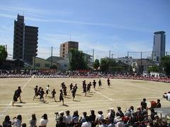 IMG_3081.jpg