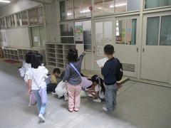 IMG_3155.jpg