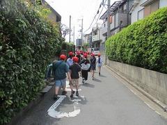 IMG_3008.jpg