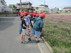 IMG_3004.jpg