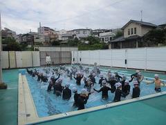 IMG_3337.jpg