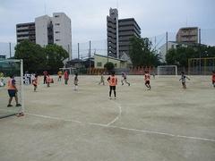IMG_3220.jpg