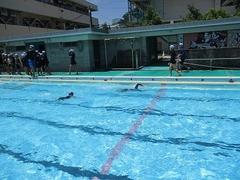 IMG_3340.jpg