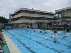IMG_3331.jpg