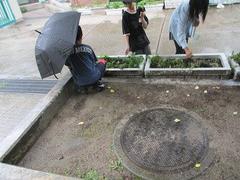IMG_3233.jpg