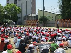 IMG_3203.jpg