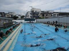 IMG_3327.jpg