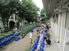 IMG_3277.jpg