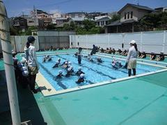 IMG_3342.jpg