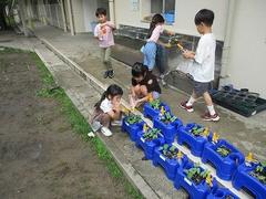 IMG_3281.jpg