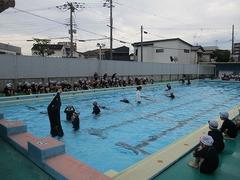 IMG_3294.jpg