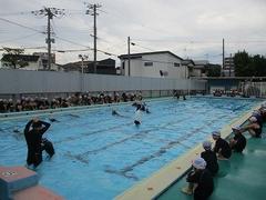 IMG_3295.jpg