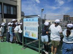 IMG_8170.jpg