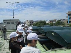 IMG_8174.jpg