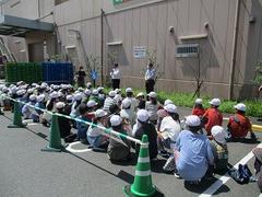 IMG_8181.jpg