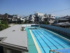 IMG_3186.jpg