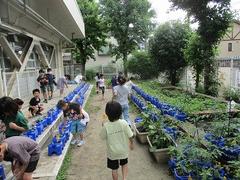 IMG_3280.jpg