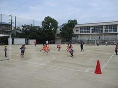 IMG_3217.jpg
