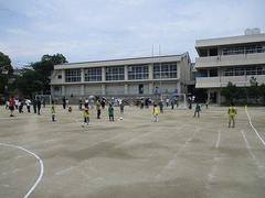 IMG_3210.jpg