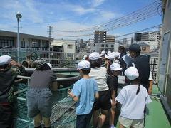 IMG_8171.jpg