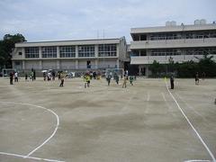 IMG_3211.jpg