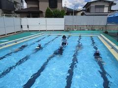 IMG_3558.jpg
