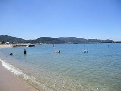IMG_3832.jpg
