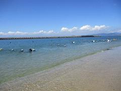 IMG_3794.jpg