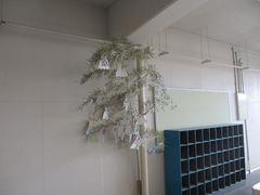 IMG_3518.jpg