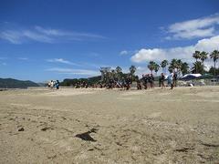 IMG_3791.jpg