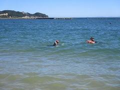 IMG_3676.jpg