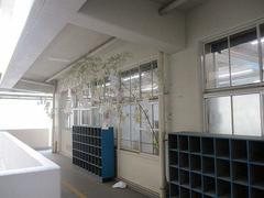 IMG_3520.jpg