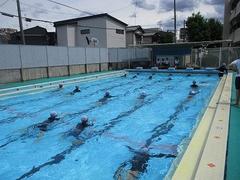 IMG_3555.jpg