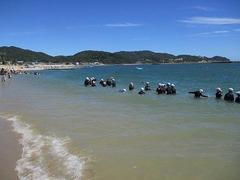 IMG_3637.jpg