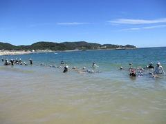 IMG_3652.jpg
