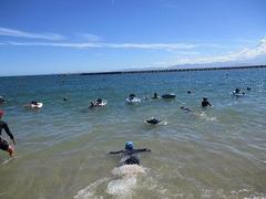 IMG_3666.jpg