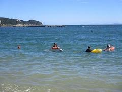 IMG_3675.jpg