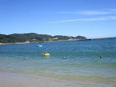 IMG_3678.jpg