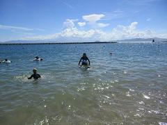 IMG_3685.jpg