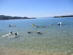 IMG_3762.jpg