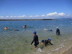 IMG_3766.jpg
