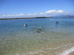 IMG_3768.jpg