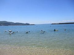 IMG_3788.jpg