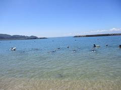 IMG_3795.jpg