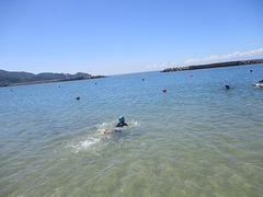 IMG_3822.jpg